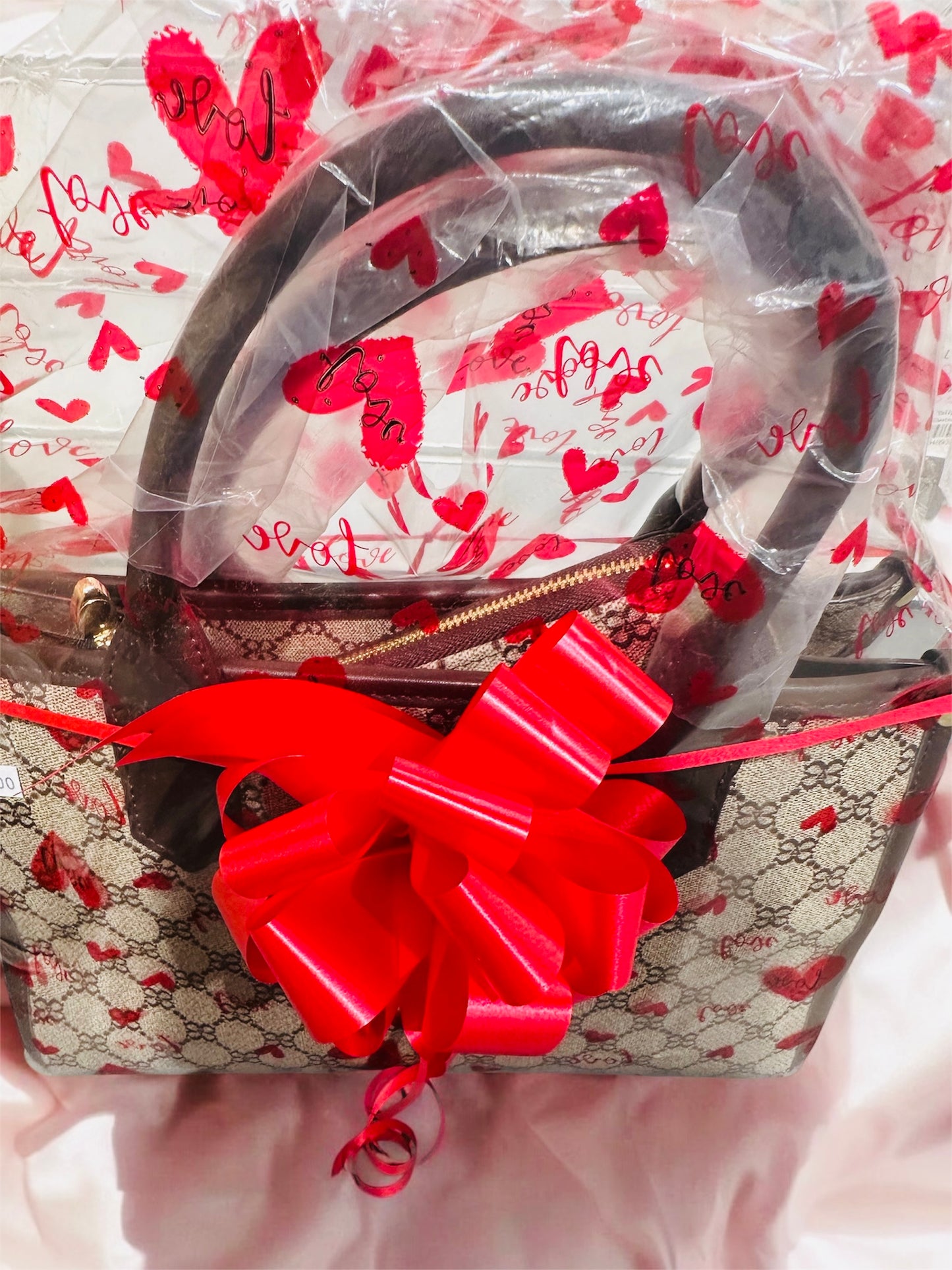 Bag & Matching Purse Set