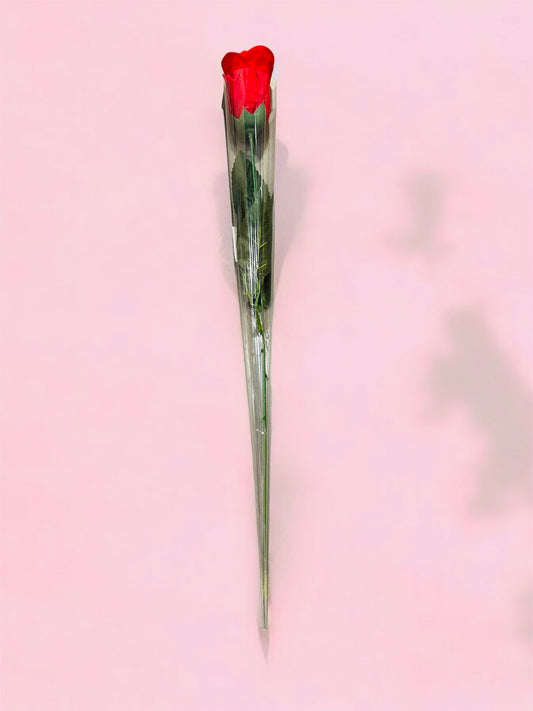 Fake Rose 🌹